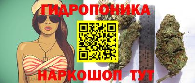 spice Кунгур