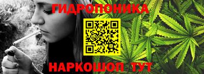 spice Кунгур