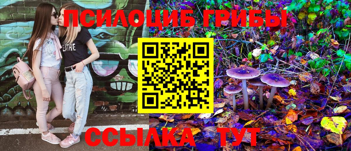Дедовск  Галлюциногенные грибы Magic Shrooms  Вход с VPN  Галлюциногенные грибы Psilocybe 
